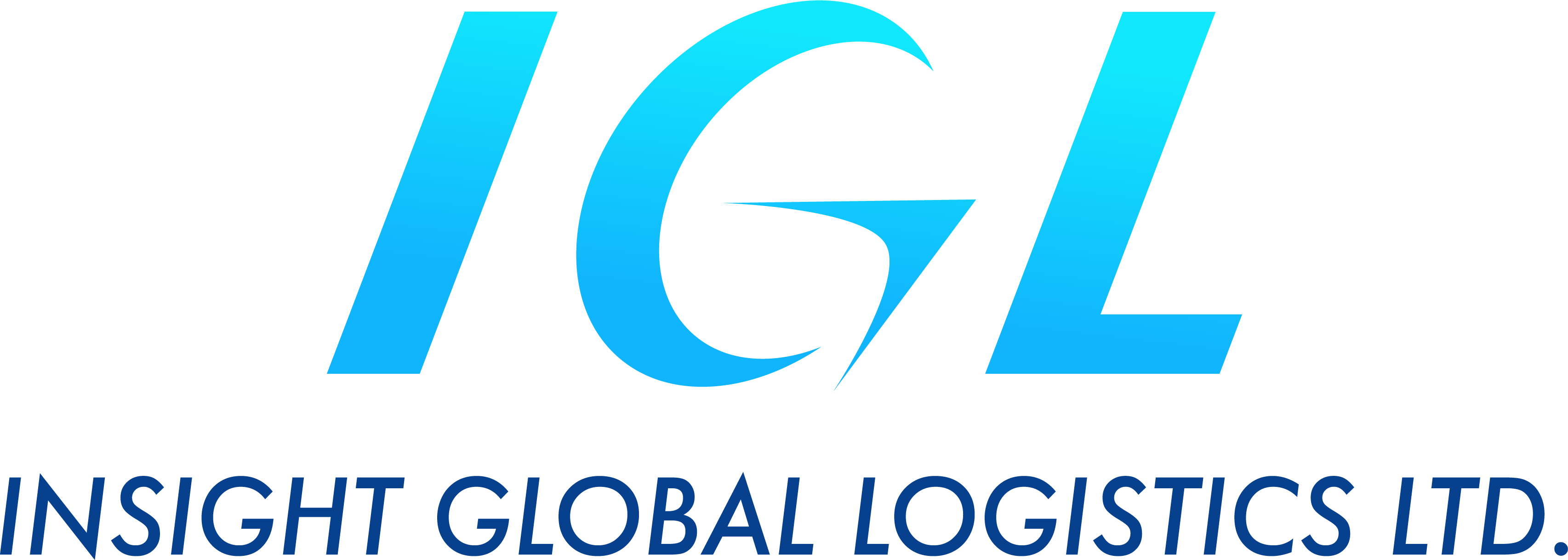 Insight Global Logistics